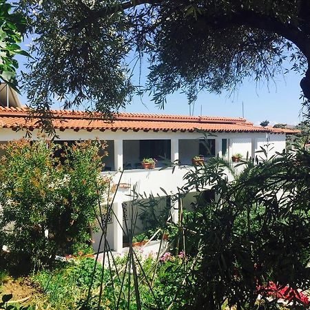 Villa Meroulas Μεγάλη Άμμος Εξωτερικό φωτογραφία