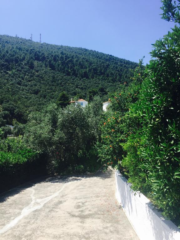 Villa Meroulas Μεγάλη Άμμος Εξωτερικό φωτογραφία