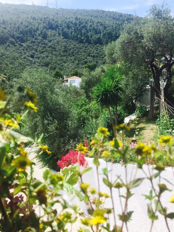 Villa Meroulas Μεγάλη Άμμος Εξωτερικό φωτογραφία